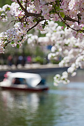 国产成人综合Av：深度评测揭秘，国产赛车新作如何融合成人叙事与硬核竞速体验