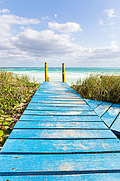 黄软件app大全免费下载2023:极速驰骋,2023年度精选赛道盛宴与制胜秘籍全解析-3