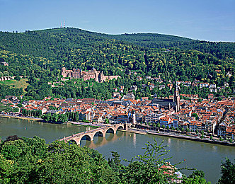 男男大学生同性恋：虹光谱系下的共驭，青春协奏的弯道诗篇