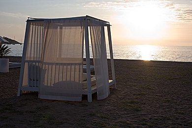 成人av教育:极速引擎,机械诗篇,赛道上的理性浪漫-2