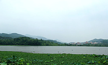 麻豆天美AV：云端极速对决，未来都市竞速新作今日震撼公测-1