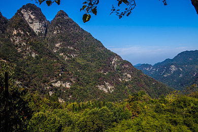 麻豆传媒91：虚拟偶像与极速改装，双重经营竞速新体验-3