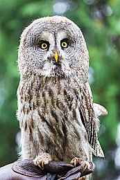 亚洲第一国产张津瑜：虚拟偶像跨界竞速，沉浸驾驶解锁隐藏剧情-3