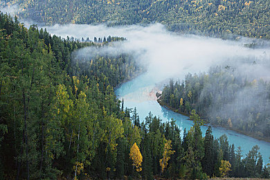 美女与公猪性交：荒野祭坛的诅咒，变形者的灵魂交融之旅