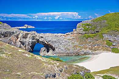 打扑克又痛又叫下载：策略与疾驰，在虚拟赛道展开头脑竞速的博弈盛宴