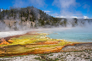 男插女应用：弯道心战，虚实交织的性别策略竞速艺术-3