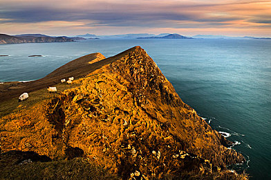 爱情岛VIP：地平线5玩家社群新潮流，浪漫社交驾驶体验席卷墨西哥开放世界