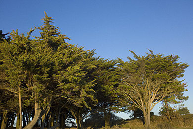 我的亲女让我进去了：情感驱动引擎，虚拟伙伴开启终极赛道之旅-2