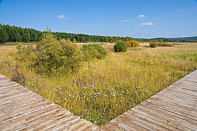 婷婷综合网 性：极速纪元中征服螺旋回廊的终极试炼之旅-2