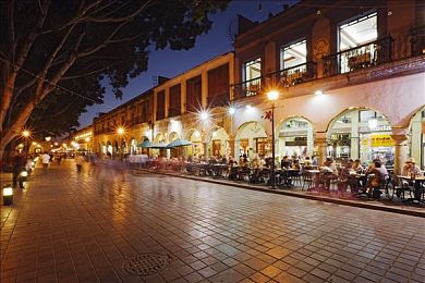 纳西妲被藤蔓束手束脚:草神之缚,元素交织中的战略破局-3