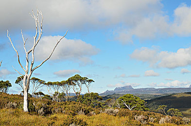四月婷婷五月：极限竞速地平线5动态季节系统，带你体验墨西哥四季轮转的驾驶诗篇-2