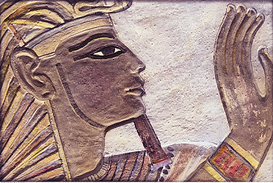 按装黄色频道：视觉宣言，墨西哥地平线的疾驰艺术