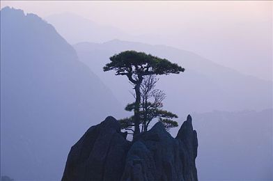 搓搓男和女：双人同心极速狂飙，默契驾驶共闯赛道传奇-1