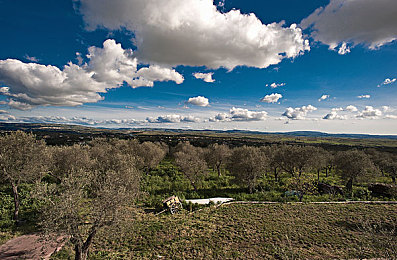 男生和女生在一起差差差很痛APP:双人协同驾驶,默契考验下的竞速生存之旅-2