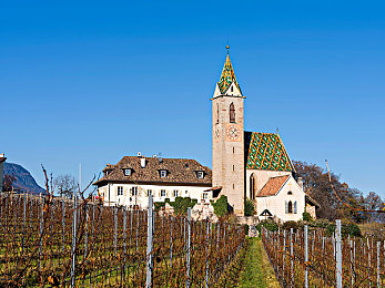 中国AⅤ片：驰骋东方画卷，聆听国风引擎交响诗篇-3