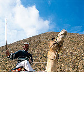 18岁app：极限车手地平线，解锁你的速度与成长梦想-2