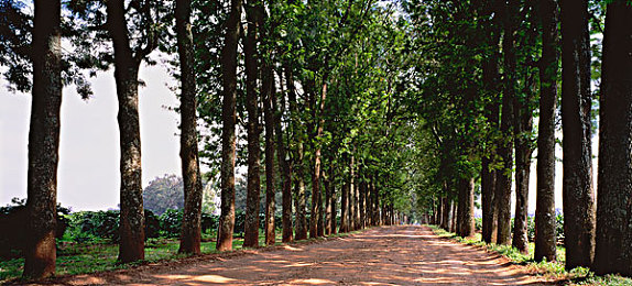 西施无小内无小爱心背景：霓裳飞车倾城之旅，水墨竞速开启古风自由驾驶新境界