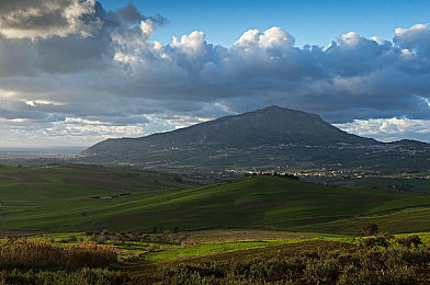 一起差差：硬核模拟新作问世，差速器调校决定赛道胜负