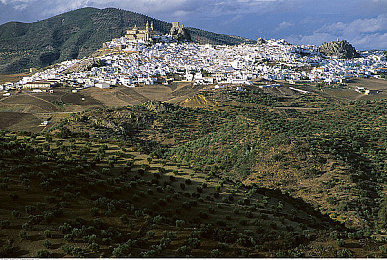 .com17c爆料 独家揭秘：极速地平线暗夜狂飙隐藏车辆获取攻略与深度评测-2