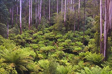黑料万里长征反差：缺陷伙伴的征途，在狼狈中铭刻驾驶史诗-3