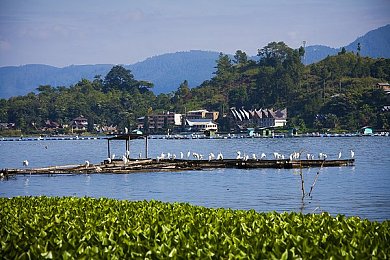 303免费oppo版破解大全在线观看：极速狂飙，OPPO平台上的街头飞驰与改装盛宴-1