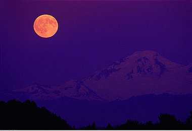 tiktok色板2.4.3：疾驰调色盘，赛道解谜竞速新纪元