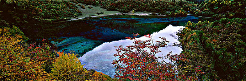 男生和女生一起差差的APP下载：双人竞速新作极速搭档上线，差异化分工开启协作驾驶新纪元-2