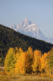 国产剧情自拍：驾驭人生选择，公路上的沉浸叙事之旅