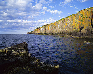 男女打扑软件:双人共驾新游引爆赛道,深度解析协作竞速创新玩法-1