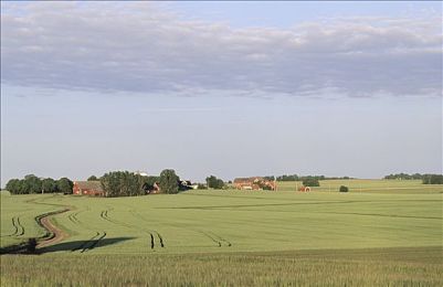 男人和女人搞基软件大全：《赛道同盟》今日上线，双人协作竞速玩法颠覆传统赛车游戏体验