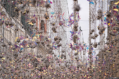 同性Gay网红小鲜肉暴菊：极速尾流，弯道突袭的极限艺术-2