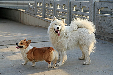 久久E热:极速幻境,永不落幕的虚拟赛道狂欢-3