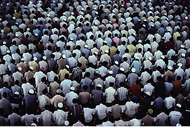 亚州综合一区：驾驭万象，墨西哥的疾驰画卷-2