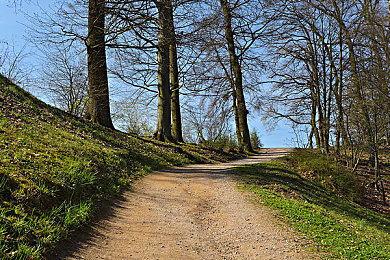 麻花传MDR国语免费版：硬核竞速新作登场，拟真驾驶融合策略挑战，免费国语配音引领风潮-1