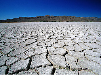 人人干人人玩：全民竞速新纪元，自由改装共创赛道狂欢