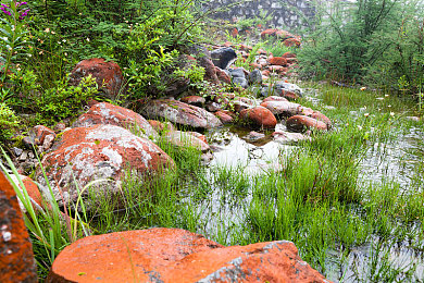99热九九这里只有精品：极限竞速地平线5，开放世界赛车游戏的巅峰体验