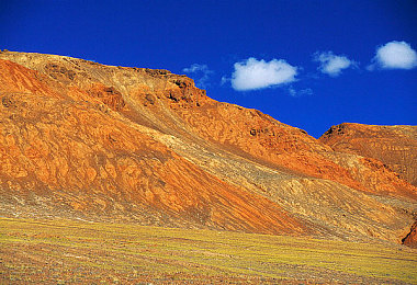 w973cc最新版本更新内容：霓虹都市震撼降临，全新赛道与未来座驾引领竞速新纪元