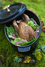 黄色应用下载无限：极限竞速地平线5，开放世界狂飙，无限资源任你驰骋