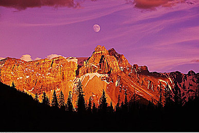 男生与女生怼怼怼的软件：双人竞速对抗新体验，极品飞车热力对决引爆赛道激斗-1