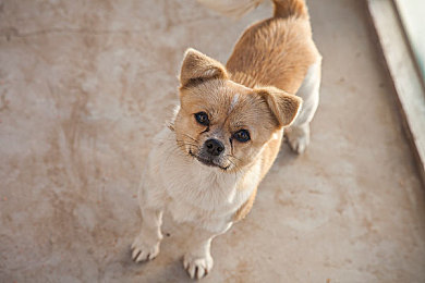 uzun haya kopkan manta.：开放世界竞速新作《荒野长桥》今日上线，断裂文明等你重建-2