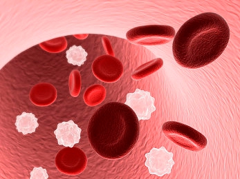 十大黄色软件：疾速涂装，竞速世界中的一抹亮色风暴-3