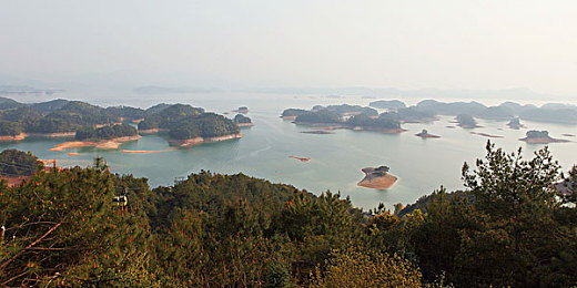 男女生差差差的app：差异化赛车新作发布，双轨设计颠覆传统竞速体验