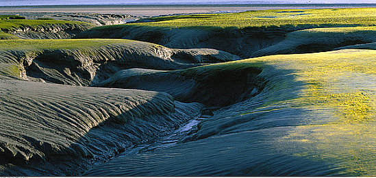 美女不穿内衣内裤软件：霓虹都市中的真实竞速，揭秘赛博伪装下的驾驶冒险