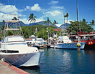 黄色软件3.30:硬核改装模拟游戏极限调校代号3.30发布,真实物理引擎打造专业赛车体验-2