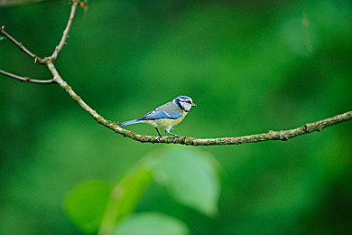 黄色软件APP下载3.30:霓虹雨夜,非法改装与警笛追逐的街头速度艺术-3