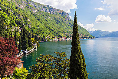 强行打扑克又痛又叫软件：融合卡牌策略与暴力竞速，体验黑色幽默的公路对决-2