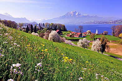 男女在床上打扑克又疼又痒：失眠者战场的心理博弈，策略卡牌游戏床上扑克走红