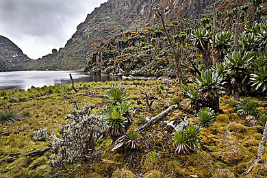 爱情岛亚洲自拍：虚拟竞速邂逅浪漫，亚洲风情驾驶社交新游今日上线-1