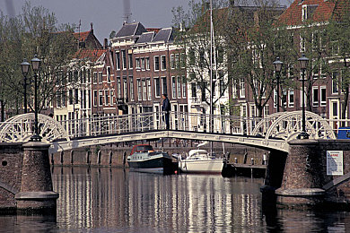 不用下载播放器可以看的av：引擎交响诗，墨西哥画卷中的竞速艺术-2