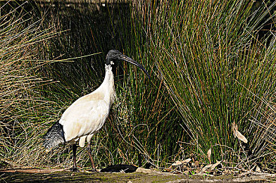 男生的困困入女生的困困里：当速度沉溺于风景，让引擎与心跳在公路上和解-2
